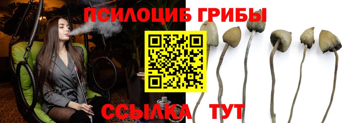 Галлюциногенные грибы мицелий Феодосия